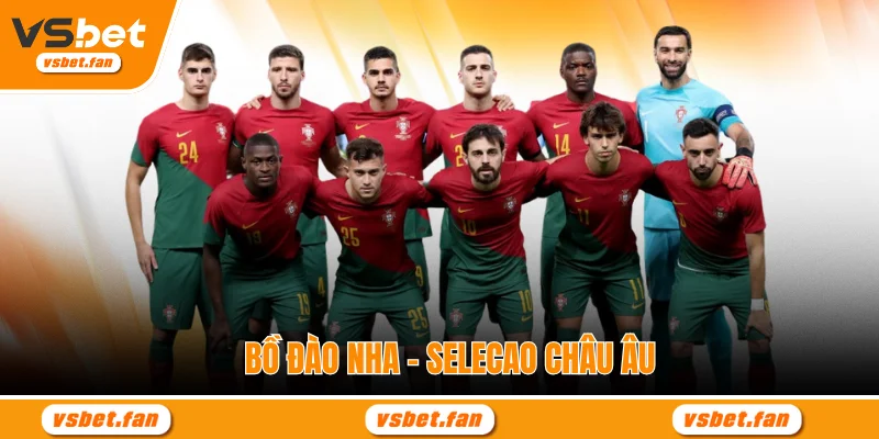 Bồ Đào Nha – Selecao Châu Âu