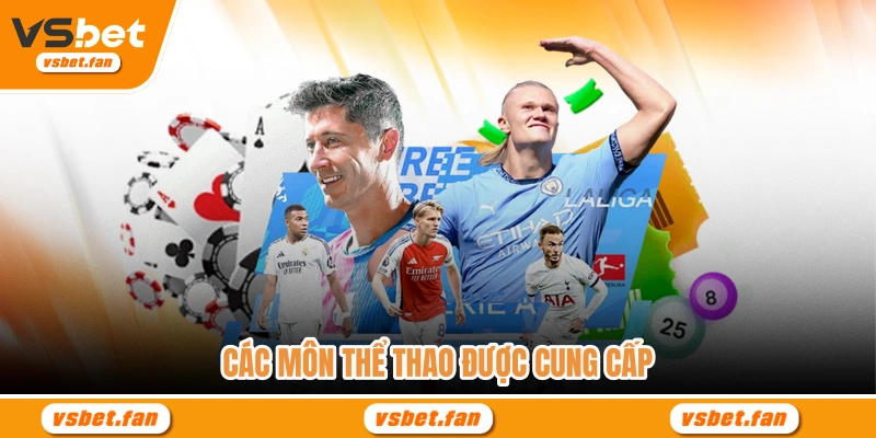 Các môn thể thao được cung cấp