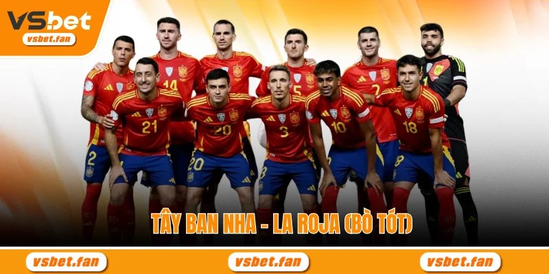 Tây Ban Nha – La Roja (Bò Tót)